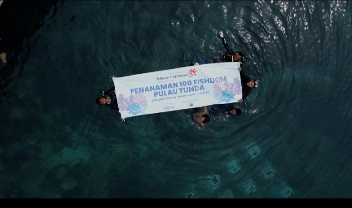 Penanaman 100 Fishdom Pulau Tunda di Kabupaten Serang, Banten, pada bulan Juni- Juli 2024.
