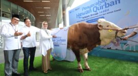  Direktur Utama Telkom Dian Siswarini menyerahkan hewan kurban pada acara Kegiatan seremonial penyerahan hewan kurban di Vertical Garden Telkom Hub pada Kamis (5/6).