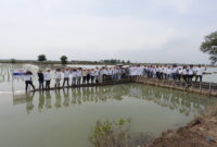 Kegiatan Penanaman 10.180 Mangrove yang menjadi bagian dari realisasi Collective Carbon Action BATIC 2025 di Tanjung Pakis, Jawa Barat, beberapa waktu yang lalu.