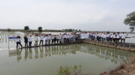 Kegiatan Penanaman 10.180 Mangrove yang menjadi bagian dari realisasi Collective Carbon Action BATIC 2025 di Tanjung Pakis, Jawa Barat, beberapa waktu yang lalu.