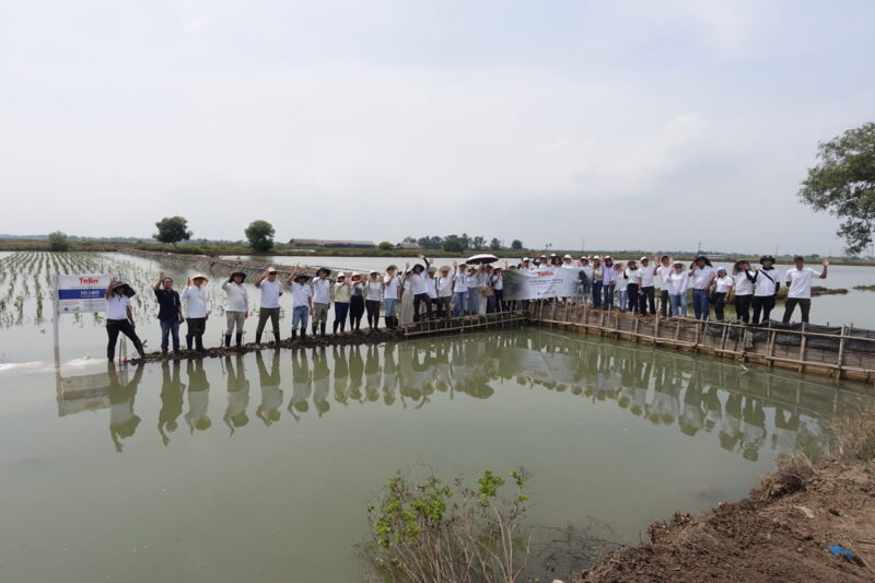Kegiatan Penanaman 10.180 Mangrove yang menjadi bagian dari realisasi Collective Carbon Action BATIC 2025 di Tanjung Pakis, Jawa Barat, beberapa waktu yang lalu.