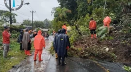 Tanah longsor yang menutup sejumlah akses jalan warga di Kabupatem Tapanuli Selatan, Sumatra Utara, Selasa (25/11). (BPBD Kabupaten Tapanuli Selatan)