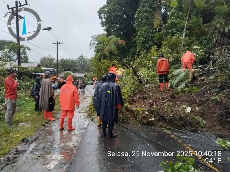 Tanah longsor yang menutup sejumlah akses jalan warga di Kabupatem Tapanuli Selatan, Sumatra Utara, Selasa (25/11). (BPBD Kabupaten Tapanuli Selatan)
