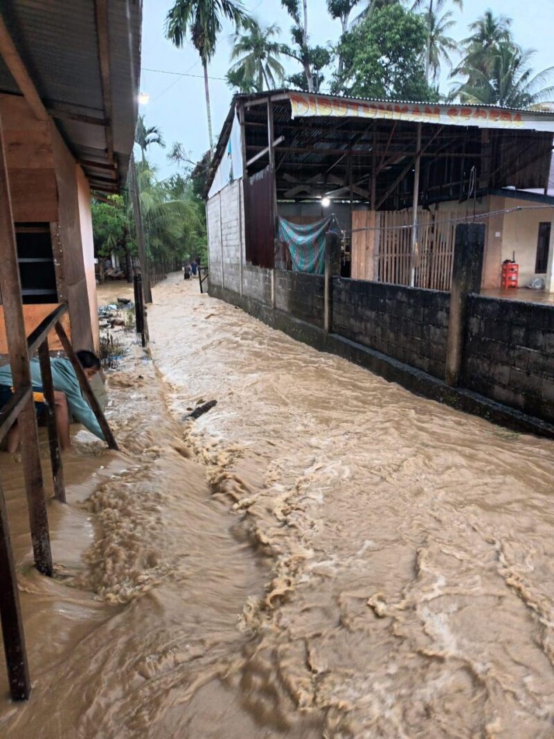 Kondisi banjir di Kabupaten Aceh Selatan, Provinsi Aceh. Petugas gabungan telah turun ke lokasi terdampak, Kamis (28/11). (BPBD Kabupaten Aceh Selatan)