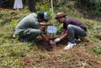 Penanaman pohon untuk reboisasi pada program Telkom Employee Social Activity (TESA) di Desa Tegallega, Cianjur, Jawa Barat, beberapa waktu lalu.
