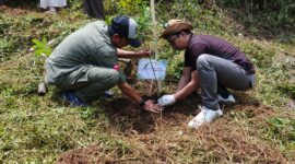 Penanaman pohon untuk reboisasi pada program Telkom Employee Social Activity (TESA) di Desa Tegallega, Cianjur, Jawa Barat, beberapa waktu lalu.