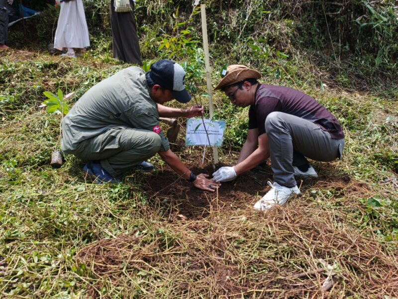 Penanaman pohon untuk reboisasi pada program Telkom Employee Social Activity (TESA) di Desa Tegallega, Cianjur, Jawa Barat, beberapa waktu lalu.