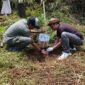 Penanaman pohon untuk reboisasi pada program Telkom Employee Social Activity (TESA) di Desa Tegallega, Cianjur, Jawa Barat, beberapa waktu lalu.