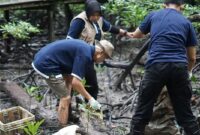 Kolaborasi Telkom dan AYS Indonesia dalam kegiatan konservasi bekantan dan penanaman mangrove di Tarakan, Kalimantan Utara beberapa waktu lalu.