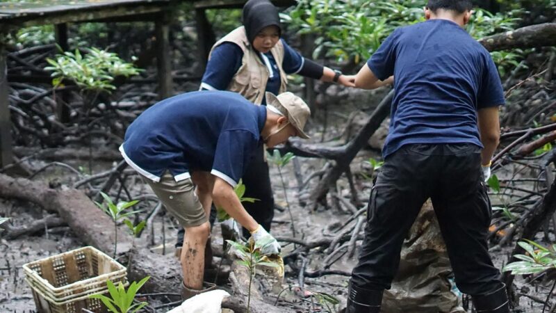 Kolaborasi Telkom dan AYS Indonesia dalam kegiatan konservasi bekantan dan penanaman mangrove di Tarakan, Kalimantan Utara beberapa waktu lalu.